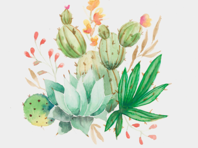 Let's Stick Together Cactus Illustration cactus greenery illustration succulents watercolor watercolor illustration