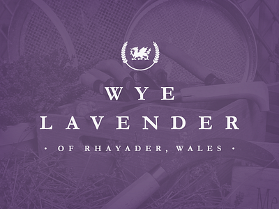 Wye Lavender branding dragon lavender purple wales website wye