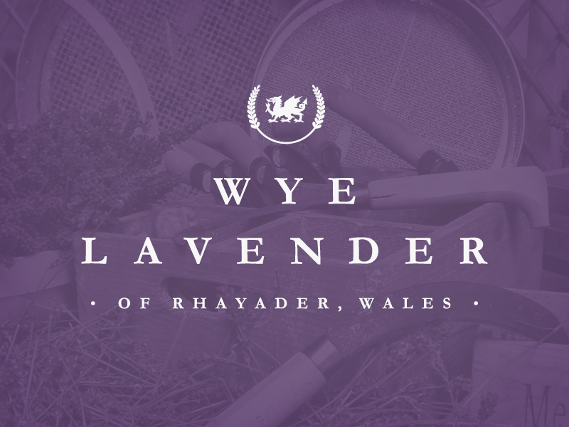 Wye logo 800x600