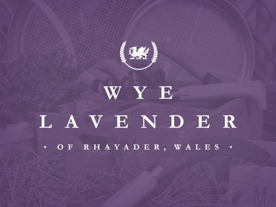 Wye Lavender