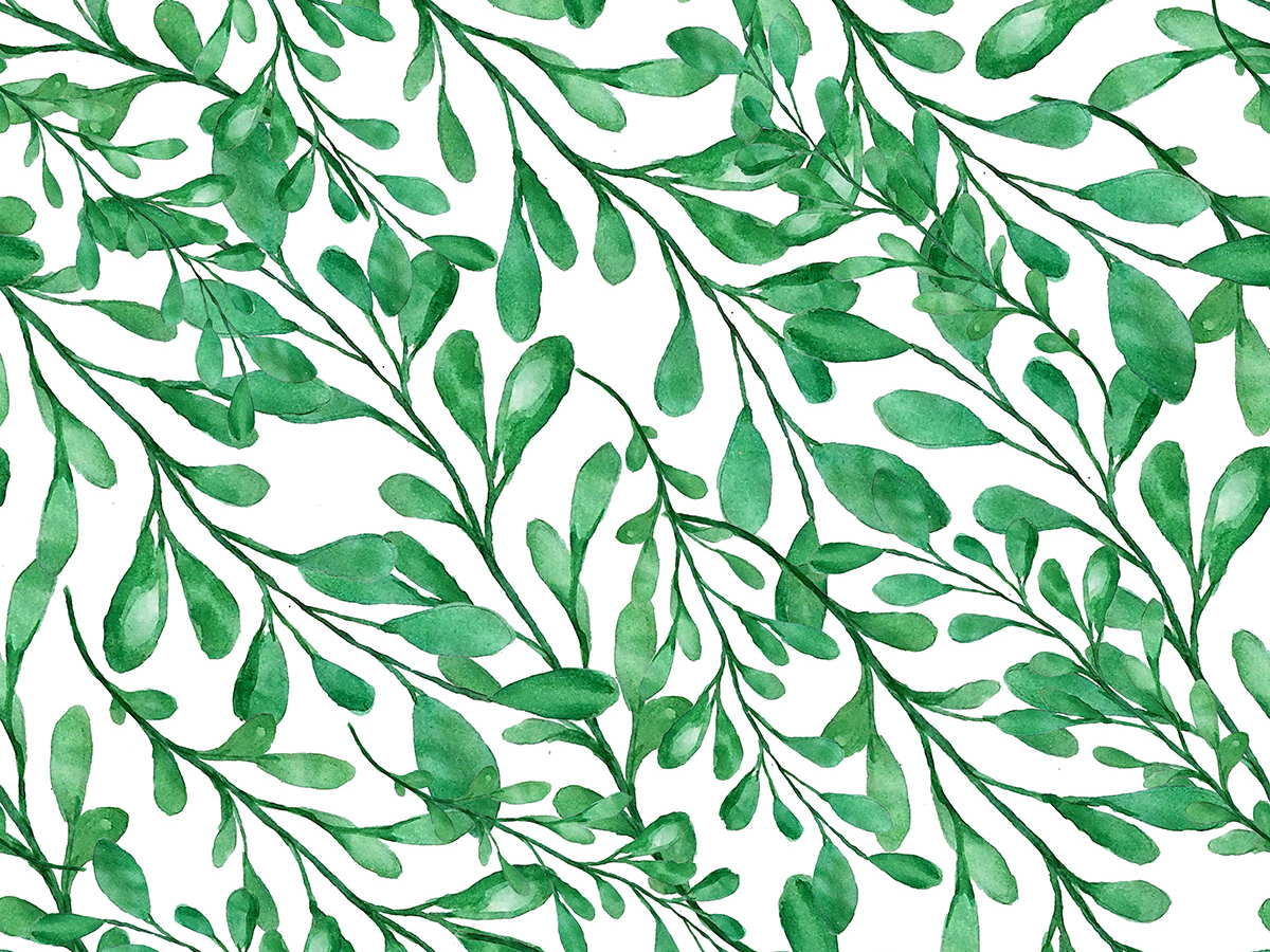 Seamless watercolor branches pattern by Wiktoria Matynia on Dribbble