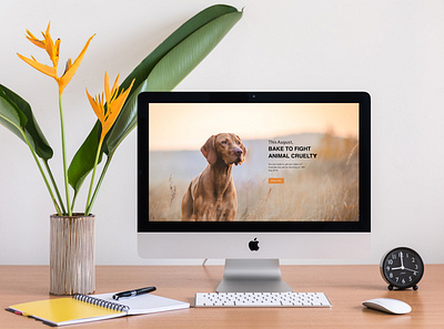 rspca design ui visual design web