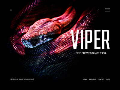 Viper Tequila fashion typography ui uidesign uiux ux uxdesign web web design webdesign
