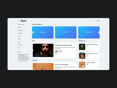 KANE - New WordPress Template Project Draft Shot