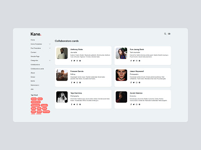 KANE - New WordPress Template Project Draft Shot