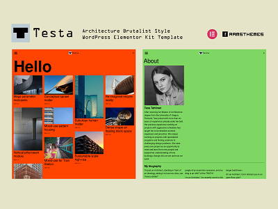 TESTA - Architecture Brutalist Style WordPress Elementor Kit