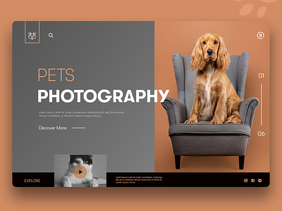 Minimal UI Design adobe behance design dribbble illustration landing page landing page design pets pets photography photography photoshop template ui ui design uidesign uiux ux webdesign