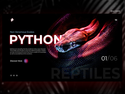 Reptiles Website Ui Design home page design landing page python reptiles snake ui ui design ui ux user interface web design website