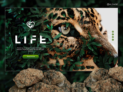 WILDLIFE Web UI Design nature save tiger tiger ui ui design ui ux web web design website wild wildlife