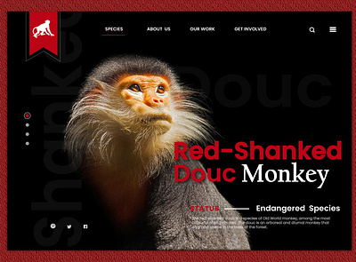 WEB PAGE animalplanet animals details landing design landing page design monkey monkeys species ui ux ui