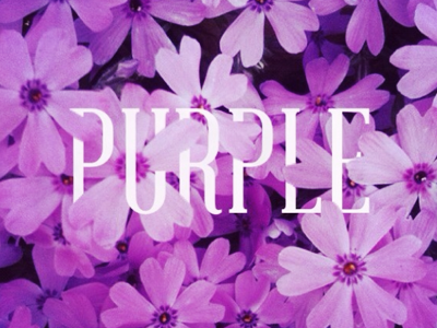 PURPLE font photo typhography