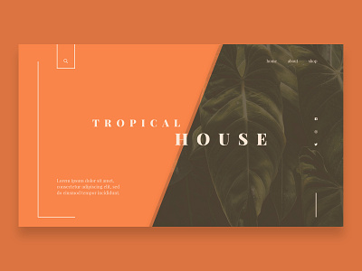 Home Screen Design design minimal orange typography ui ux web website xd