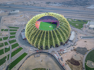 Fifa world cup stadium 2022 cactus design edit fifa football fun manipulation photo edit qatar stadium world cup