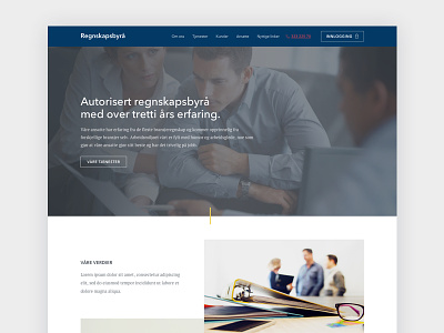 Accounting firm website accounting design norway web design wip