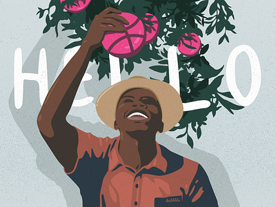 Hello Dribbble! dribbble fruit graphic design harvest hello hellodribbble illustration illustrator vector