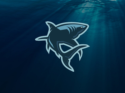 Shark 2.0 animal fish illustration logo mascot seafood shark sports