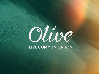 Olive Logo communication agency elegant logo minimalist typographic