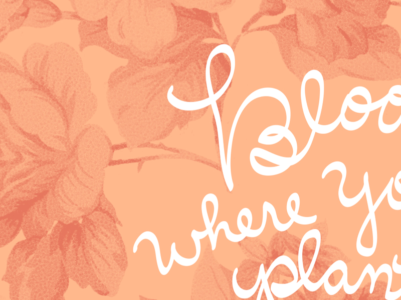 Bloom Where You Are Planted Wp By Angel Y On Dribbble