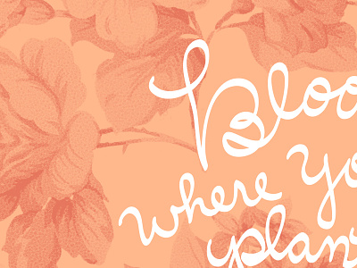 Bloom Where You Are Planted WP floral lettering wallpaper
