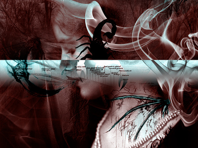 The Possession dark demon design dontlookback graphicdesign inhale innocence lizzarama possessed scorpion smoke vintage