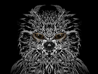 DonutNose CelticEared Frogmouth creature art blackandwhite characterdesign creature design graphicdesign illustration instacool monster p52 winteriscoming