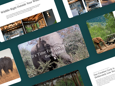 Mbazo Safari Lodge Website 02 / 04