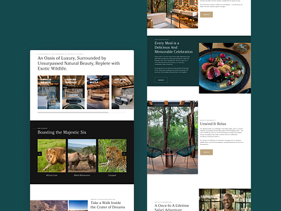 Mbazo Safari Lodge Website 04 / 04