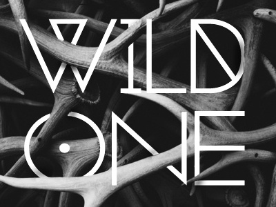 Wild One design graphic one poster typography wild