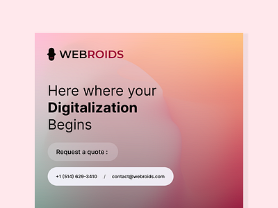_WEBROIDS Social media identity design