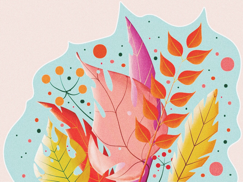 Sunday wallpaper flowers illustration botanical illustration vector illustration vector artwork vector art illustration design graphic design adobe illustrator
