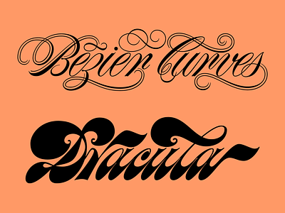 Lettering Styles art brushpen calligraphy design flourish lettering script spencerian type typography vector vintage