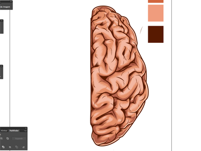 Vector Brain Detail brain illustration stock vector