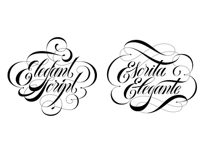 ENG / PT_BR english hand lettering language lettering portuguese tipografia type typography