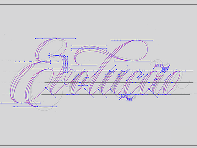 Evolução evolution formal lettering script spencerian type typography vector