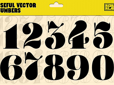 Useful Vector Numbers by Roberlan Borges Paresqui on Dribbble
