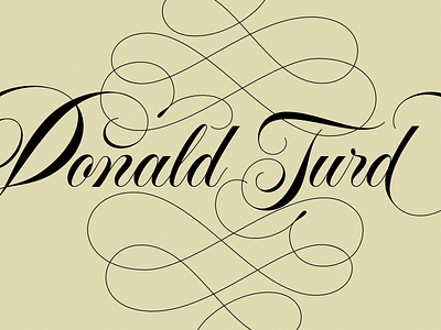 Donald Turd america donald trump lettering politics typography usa