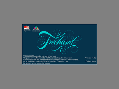 Freehand Splash Screen flourish freehand freehand mx lettering script software spencerian typography vector