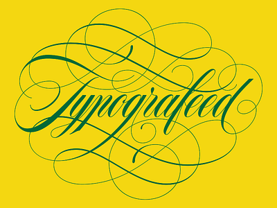 Typografeed goiania lettering script tipografeed tipografia typography
