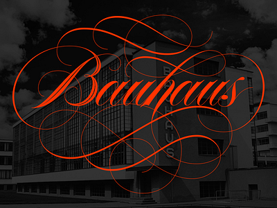 Bauhaus bauhaus design flourish ornamental script spencerian type typography