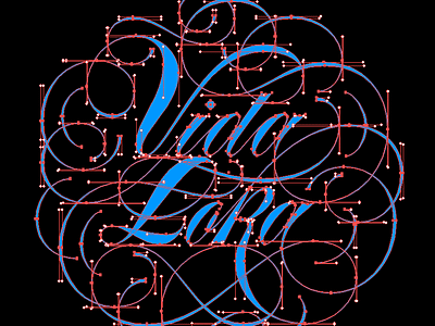 Vida Loka flourish lettering ornamental script spencerian swash type typography vector vida loka