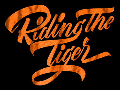 Riding The Tiger brushcalligraphy brushpen lettering ligature lyric music phyllis hyman song type typography vector