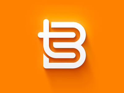 Personal Identity/Logo design graphic design identity logo monogram personal identity orange tb