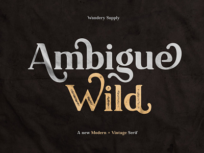 Ambigue Wild Modern x Vintage Serif art branding elegant fonts font design fonts collection lettering fonts logo modern modern fonts retro font retro fonts sans serif sans serif font serif serif font serif fonts simple typeface vintage serif wild