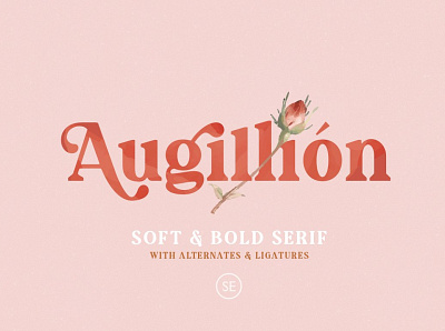 Augillion - Soft Bold Serif bold font bold serif boutique branding design elegant fonts fashion font design fonts collection lettering luxury fonts modern fonts promotion sans serif sans serif font sans serif fonts sans serif typeface serif font serif fonts soft bold serif