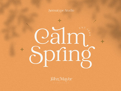 John Mayer - Fancy Ligature Font branding calligraphy classy elegant fonts fancy font fashion font font design fonts collection lettering ligature font logo logo design modern calligrpahy perfect sans serif font serif font typeface typography unique