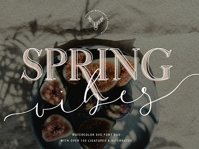 Download Coral Lovers Svg Watercolor Font Duo By Fonts On Dribbble