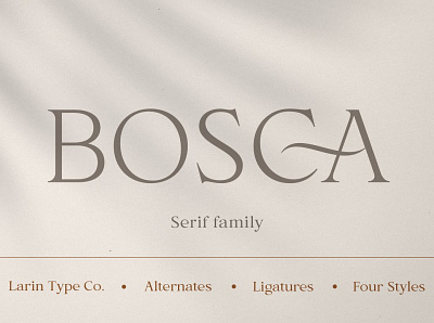 Bosca - Serif Font advertising calligraphy fonts elegant font elegant fonts elegant serif font fonts collection lettering luxury fonts minimal fonts modern calligraphy modern font professional script fonts serif font serif fonts trending trendy typeface typography wedding fonts