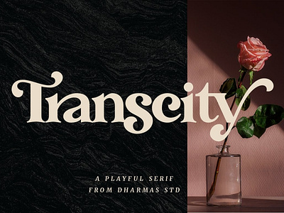 Transcity - A Playful Serif art beautiful font bold font branding design fonts collection letter lettering letters logo design modern playful font playful serif retro font serif serif font simple style text font vintage font