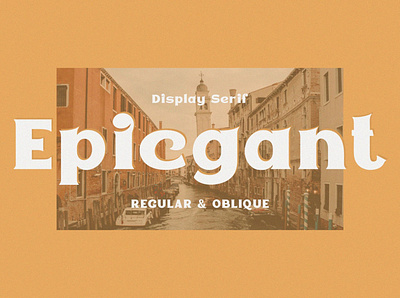 Epicgant - Display Serif Font bold bold fonts design display display font display fonts font design fonts collection lettering modern fonts oblique oblique font regular regular font sans serif sans serif font serif font serif fonts typeface typography