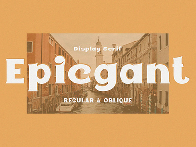 Epicgant - Display Serif Font bold bold fonts design display display font display fonts font design fonts collection lettering modern fonts oblique oblique font regular regular font sans serif sans serif font serif font serif fonts typeface typography